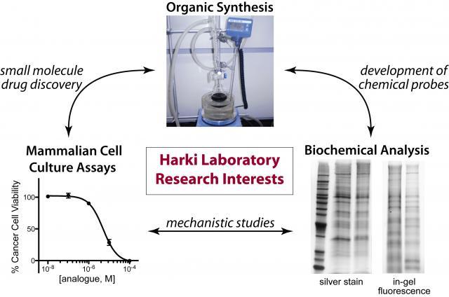 Harki Lab Research Interests